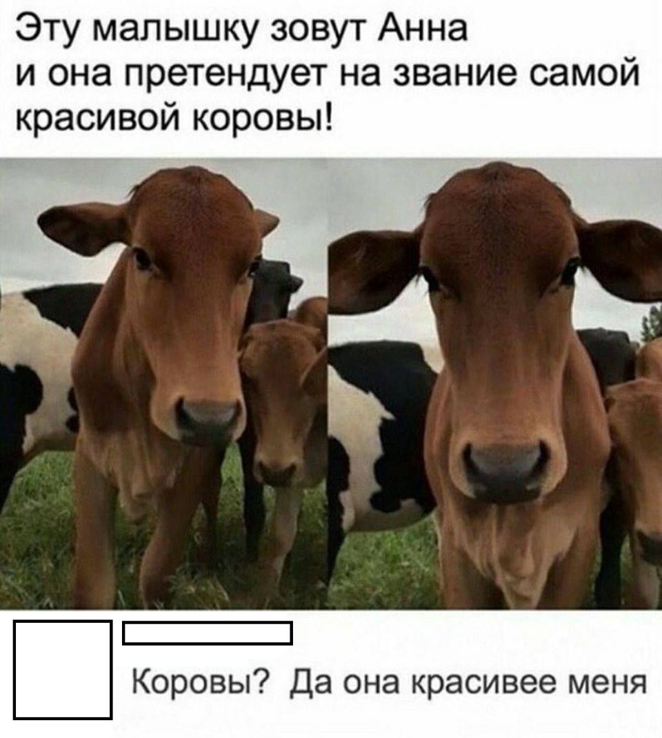 Эту малышку зовут Анна и она претендует на звание самой красивой коровы!
– Коровы? Да она красивее меня.