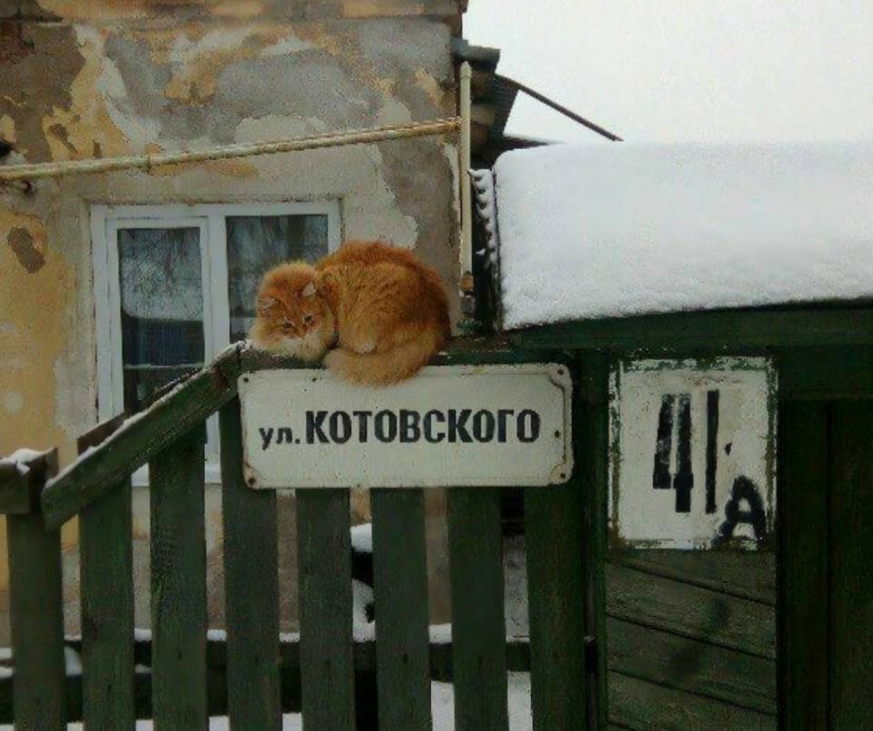 *Улица Котовского*