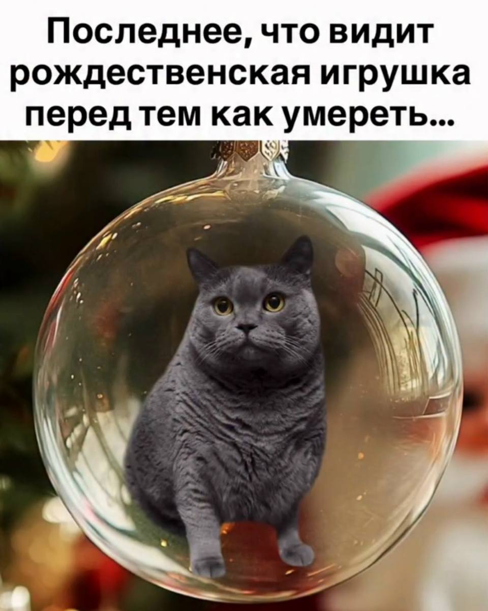 Последнее, что видит рождественская игрушка перед тем как умереть...