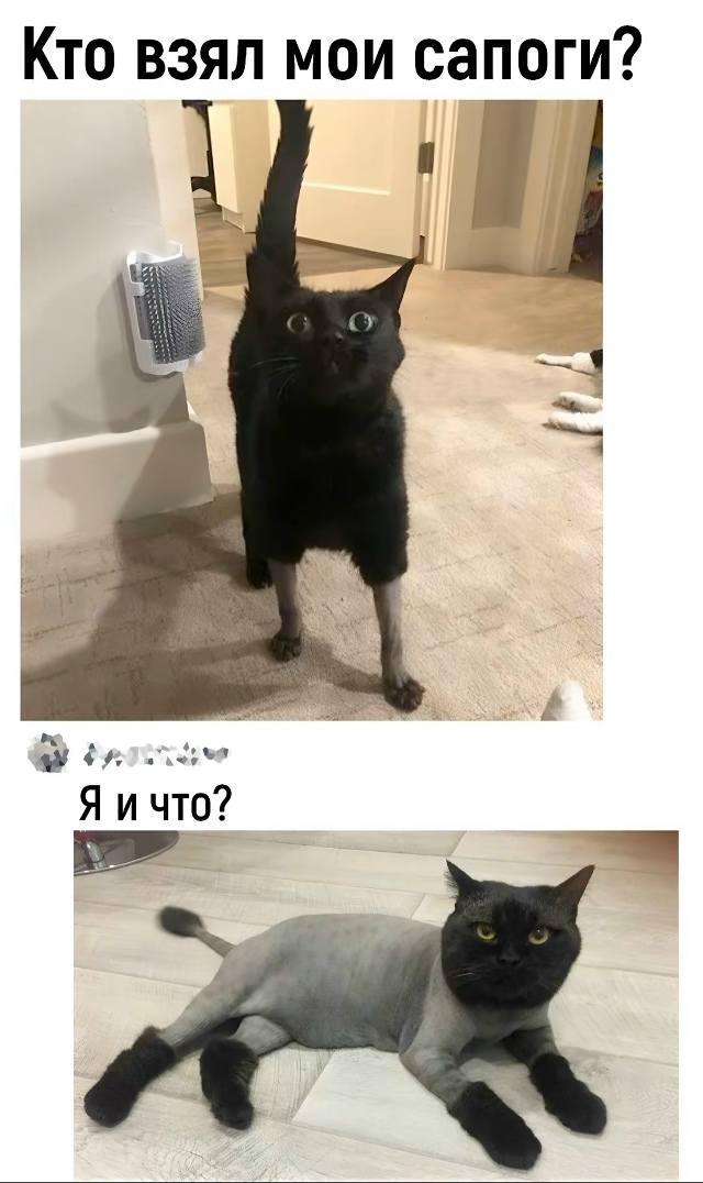 – Кто взял мои сапоги?
– Ну я...