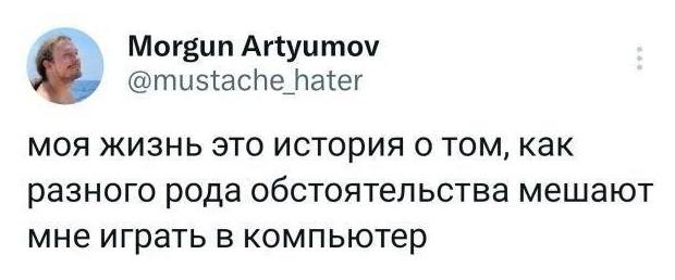 Моя жизнь — это история о том, как разного рода обстоятельства мешают мне играть в компьютер.