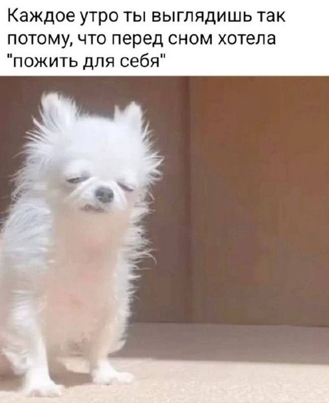 *Каждое утро ты выглядишь так потому, что перед сном хотела «пожить для себя»*