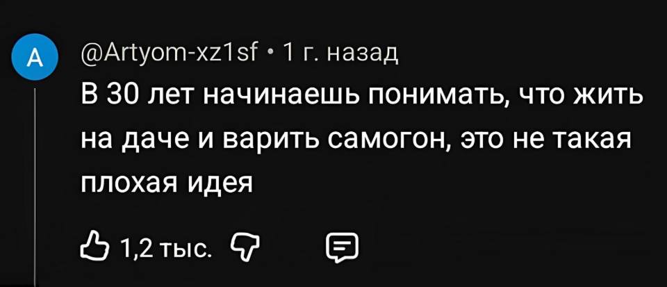 – В 30 лет начинаешь понимать, что жить на даче и варить самогон, это не такая плохая идея.