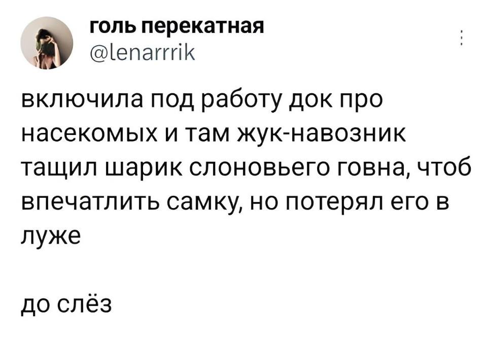 Включила под работу документалку про насекомых и там жук-навозник тащил шарик слоновьего говна, чтоб впечатлить самку, но потерял его в луже.
До слёз.
