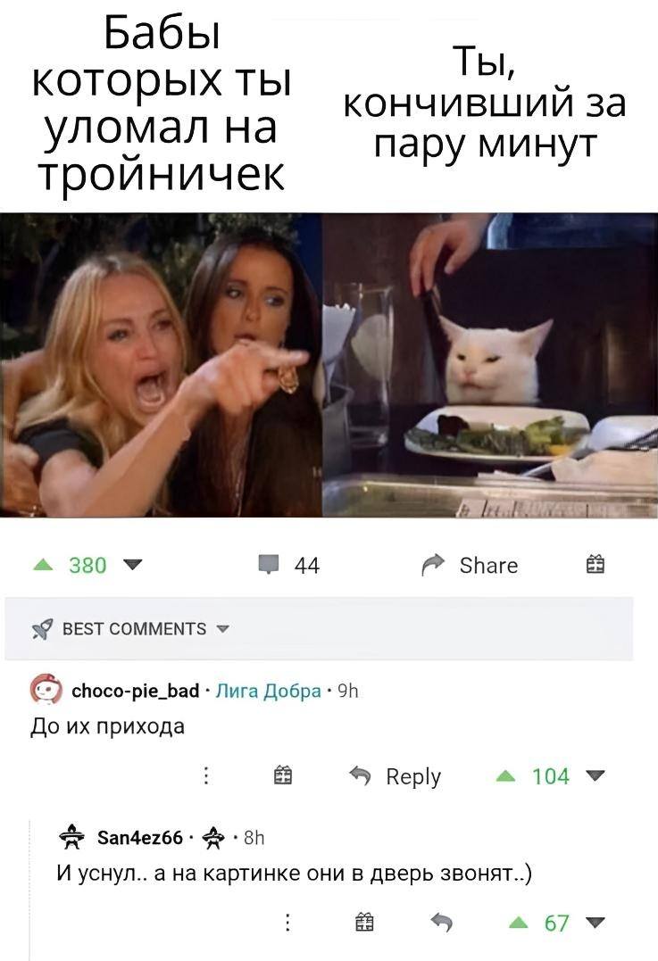 *Бабы, которых ты уломал на тройничёк*
*Ты, кончивший за пару минут*
– До их прихода.
– И уснул.. а на картинке они в дверь звонят..