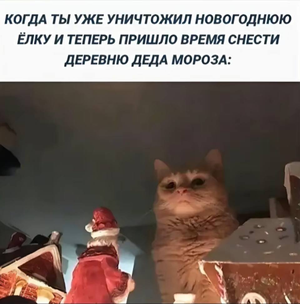 *КОГДА ТЫ УЖЕ УНИЧТОЖИЛ НОВОГОДНЮЮ ЁЛКУ И ТЕПЕРЬ ПРИШЛО ВРЕМЯ СНЕСТИ ДЕРЕВНЮ ДЕДА МОРОЗА*
