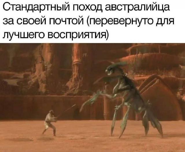 *Стандартный поход австралийца за своей почтой (перевернуто для лучшего восприятия)*