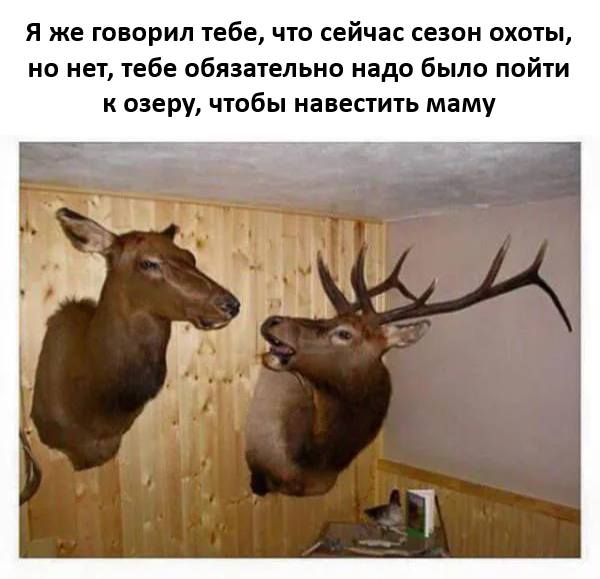 — Я же говорил тебе, что сейчас сезон охоты, но нет, тебе обязательно надо было пойти к озеру, чтобы навестить маму.