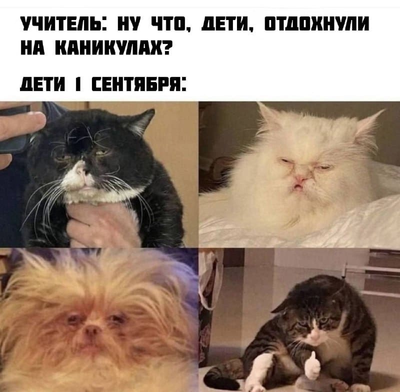 Учитель: Ну что, дети, успели отдохнуть за лето?
Дети 1 сентября: *Ога*
