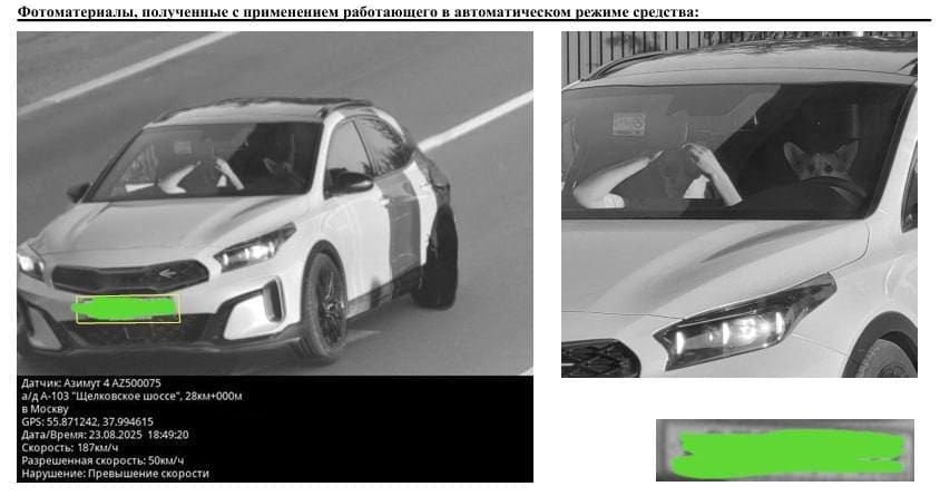Собака поймала штраф за превышение в Москве. Видимо, пыталась проскочить на серый.