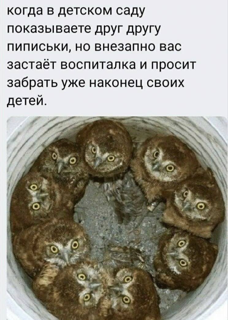Когда в детском саду показываете друг другу пиписьки, но внезапно вас застаёт воспиталка и просит забрать уже наконец своих детей.