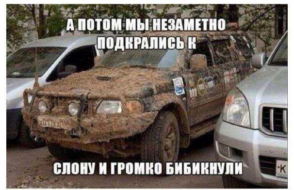 *А потом мы незаметно подкрались к слону и тихонько бибикнули*