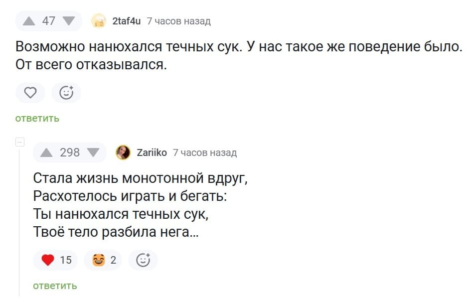 – Возможно нанюхался течных сук. У нас такое же поведение было. От всего отказывался.
– 
Стала жизнь монотонной вдруг,
Расхотелось играть и бегать:
Ты нанюхался течных сук,
Твоё тело разбила нега...