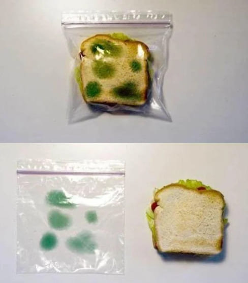 *Антикражный пакетик с плесенью для ланча*