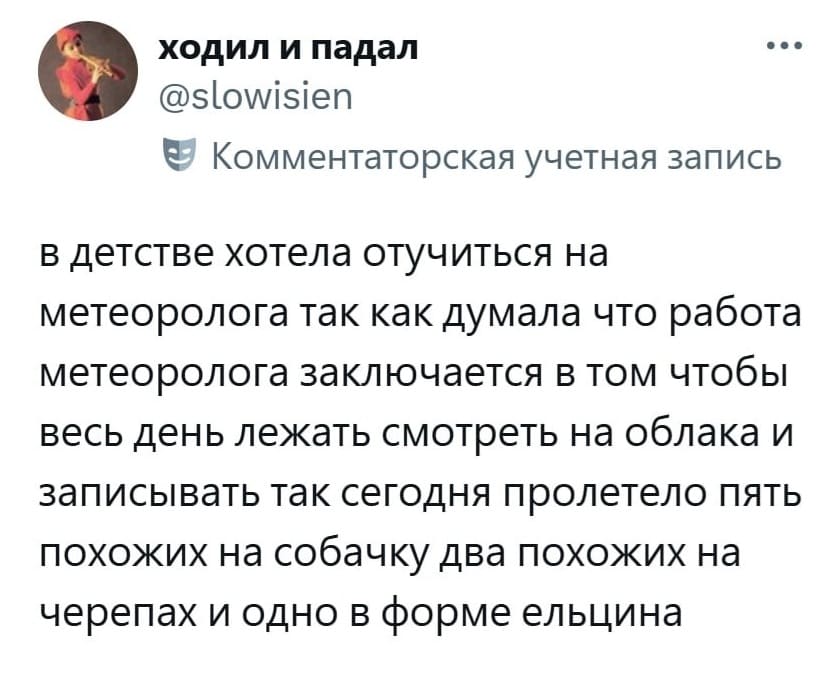В детстве хотела отучиться на метеоролога, так как думала, что работа метеоролога заключается в том, чтобы весь день лежать, смотреть на облака и записывать. Так сегодня пролетело пять похожих на собачку, два похожих на черепах и одно в форме Ельцина.