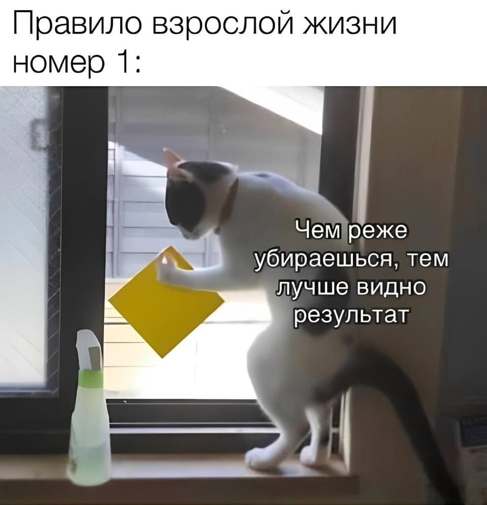 Правило взрослой жизни номер 1:
*Чем реже убираешься, тем лучше видно результат*