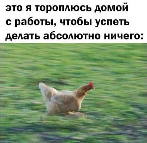 *Это я тороплюсь домой с работы, чтобы успеть делать абсолютно ничего*