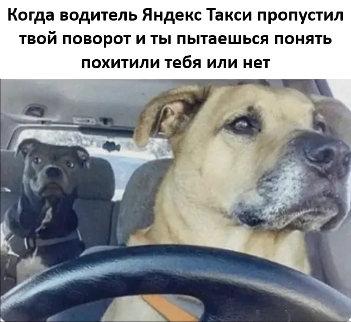 *Когда водитель Яндекс Такси пропустил твой поворот и ты пытаешься понять похитили тебя или нет*