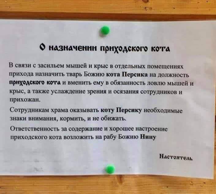 О назначении приходского кота.
В связи с засильем мышей и крыс в отдельных помещениях прихода назначить тварь Божию кота Персика на должность приходского кота и вменить ему в обязанность ловлю мышей и крыс, а также услаждение зрения и осязания сотрудников и прихожан. Сотрудникам храма оказывать коту Персику необходимые знаки внимания, кормить, и не обижать. Ответственность за содержание и хорошее настроение приходского кота возложить на рабу Божию Нину. Настоятель.