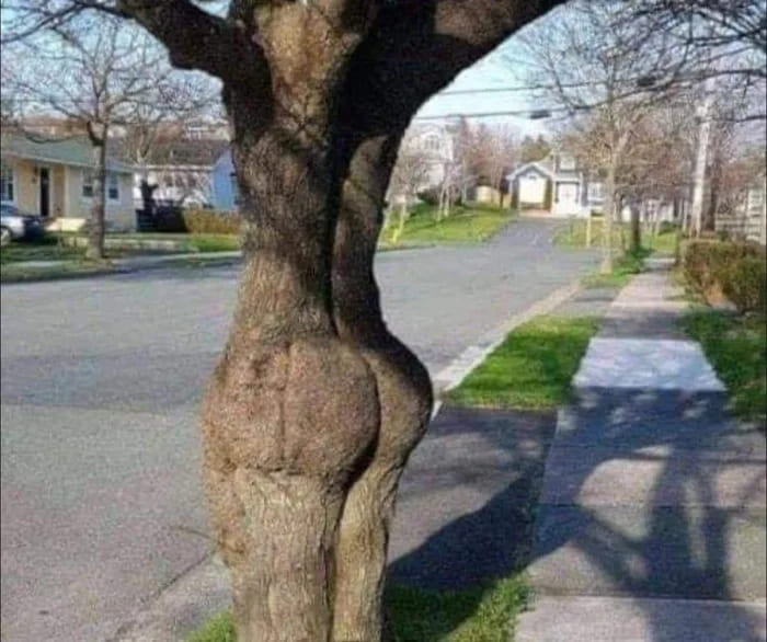 *Мысли Буратино*