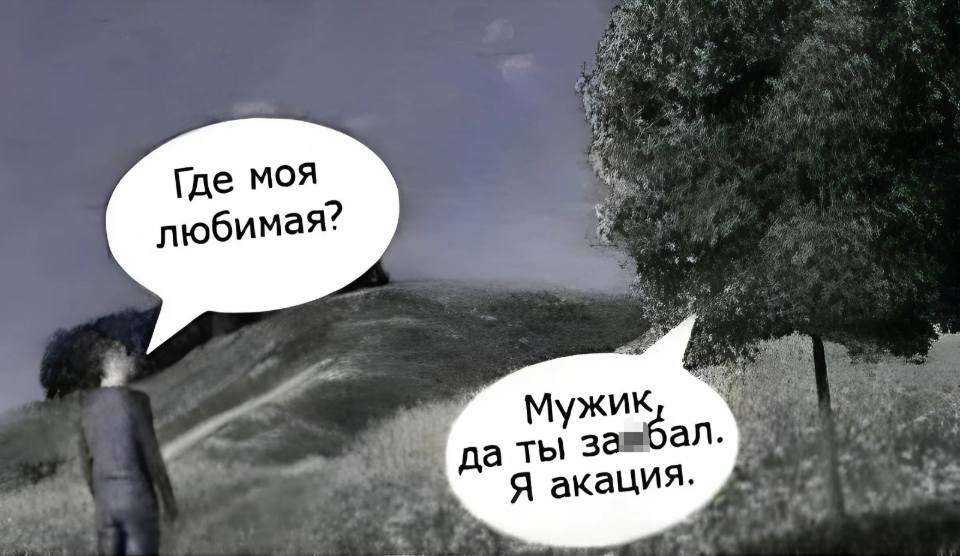 – Где моя любимая?
– Мужик, да ты за***бал. Я акация!
