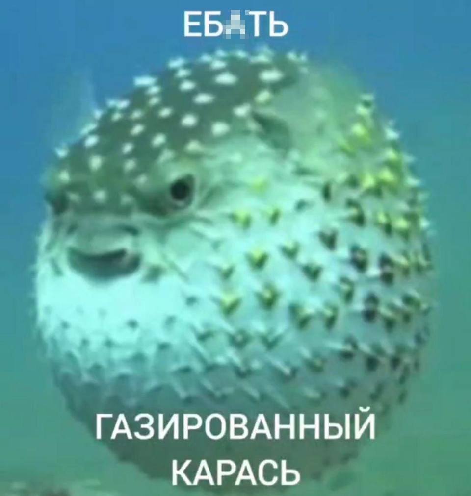 *Газированный карась*