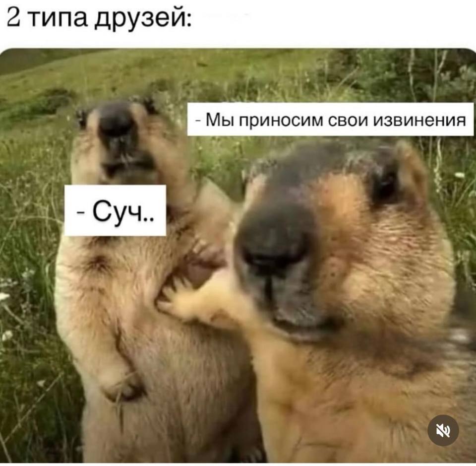Первый тип друзей:
– Ща я ему втащу...
Второй тип друзей:
– Мы приносим Вам свои извинения...