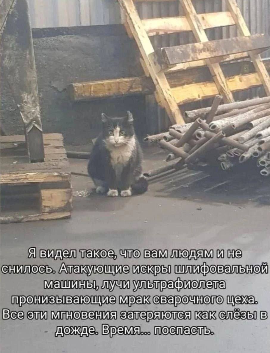 Я видел такое, что вам людям и не снилось. Атакующие искры шлифовальной машины, лучи ультрафиолета пронизывающие мрак сварочного цеха. Все эти мгновения затеряются как слёзы в дожде. Время... поспасть.