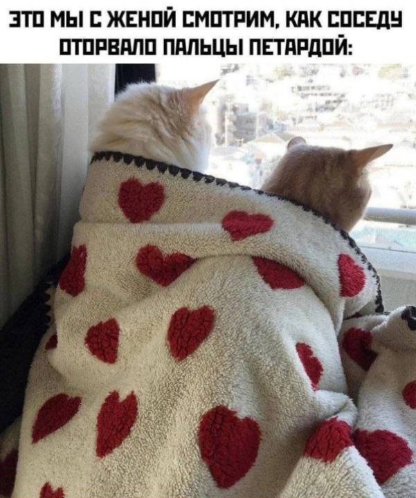 *ЭТО МЫ С ЖЕНОЙ СМОТРИМ, КАК СОСЕДУ ОТОРВАЛО ПАЛЬЦЫ ПЕТАРДОЙ*