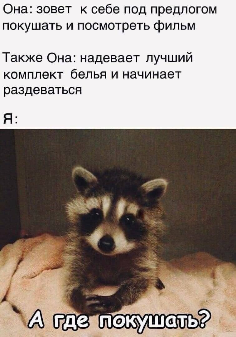 Она: Зовёт к себе под предлогом покушать и посмотреть фильм.
Также Она: Надевает лучший комплект белья и начинает раздеваться.
Я: А где покушать?