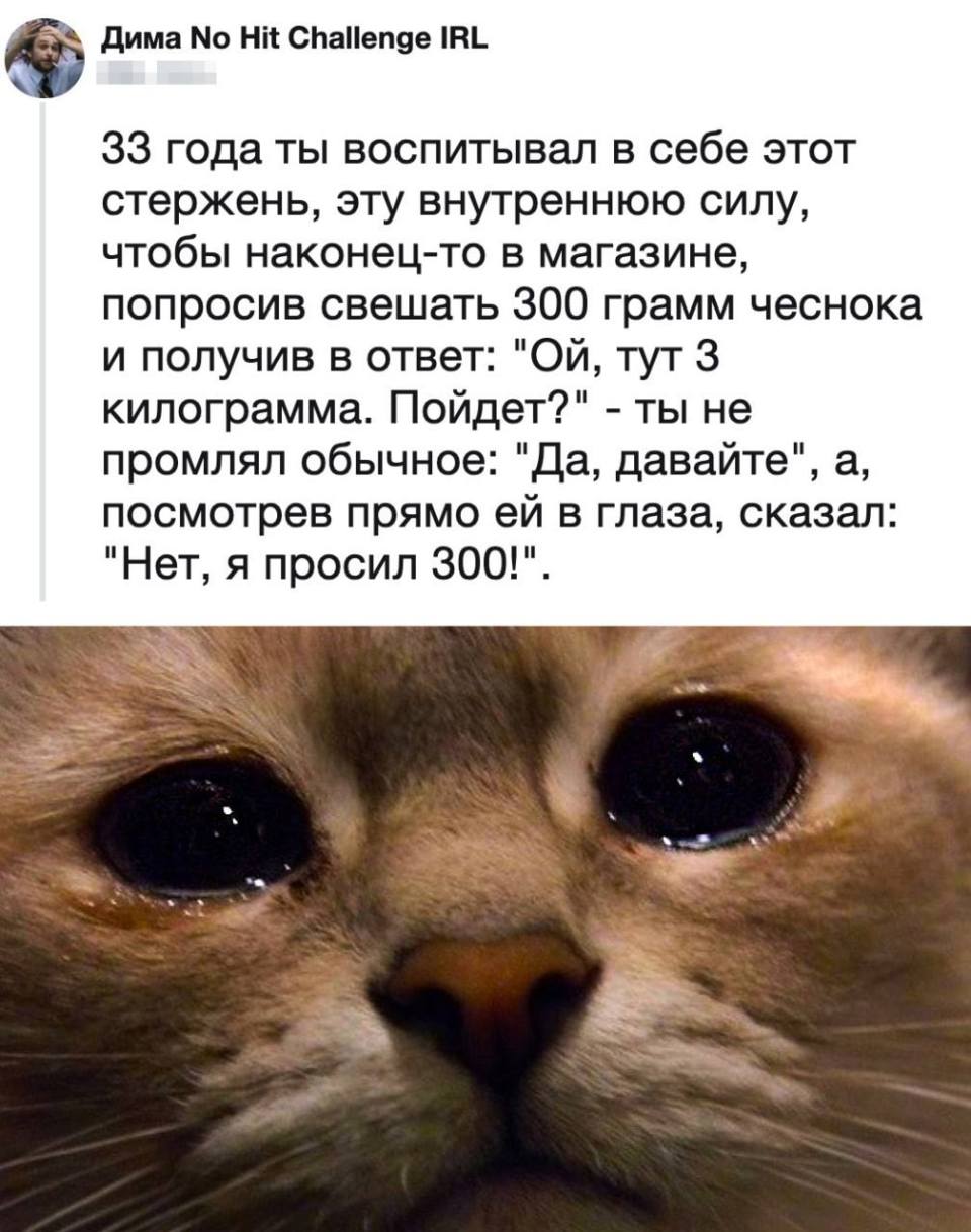 33 года ты воспитывал в себе этот стержень, эту внутреннюю силу, чтобы наконец-то в магазине, попросив свешать 300 грамм чеснока и получив в ответ: «ОЙ, тут 3 килограмма. Пойдет?» – ты не промямлил обычное: «Да, давайте», а, посмотрев прямо ей в глаза, сказал: «Нет, я просил 300!».