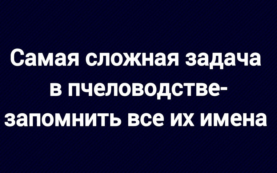 Самая сложная задача в пчеловодстве — запомнить все их имена.