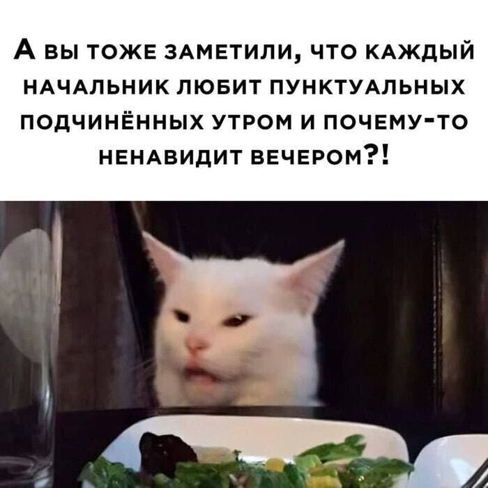 А вы тоже обратили своё внимание на то, что каждый начальник любит пунктуальных подчинённых утром и почему-то ненавидит вечером?!