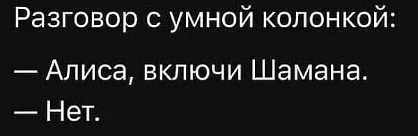 Разговор с умной колонкой:
— Алиса, включи Шамана.
— Нет.