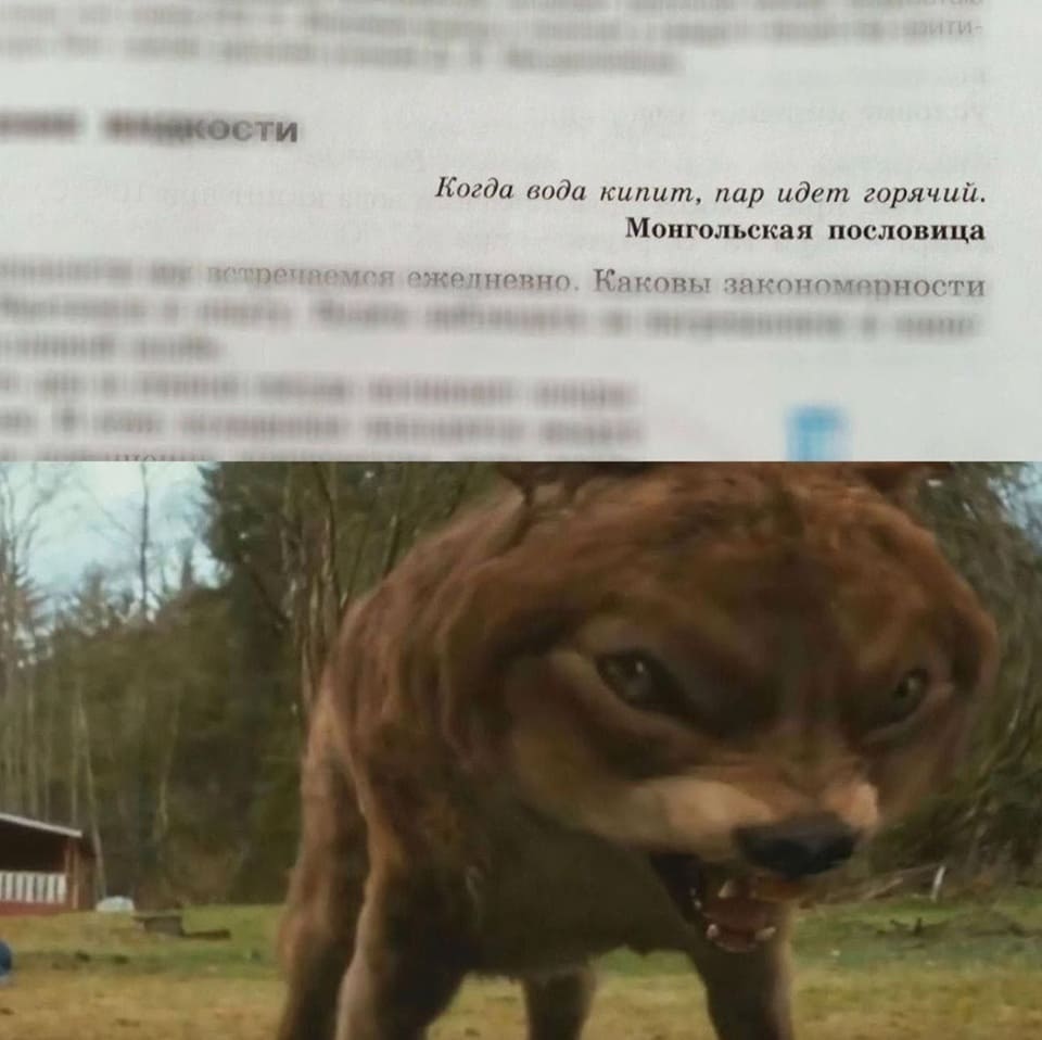 Когда вода кипит, пар идёт горячий.
Монгольская пословица