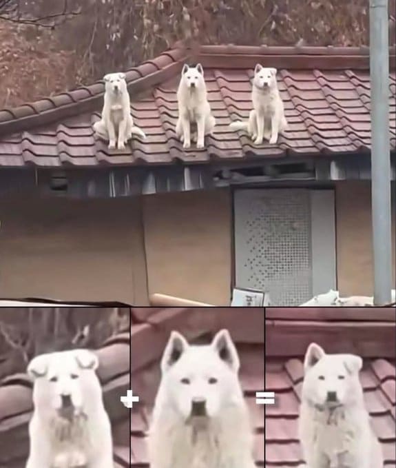 *Идеальное уравнение*