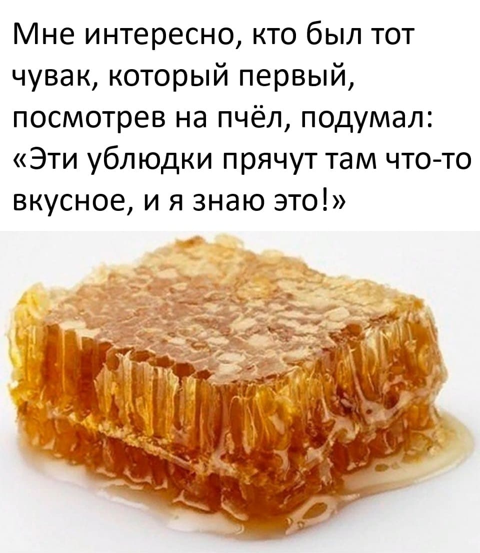 Мне интересно, кто был тот чувак, который первый, посмотрев на пчёл, подумал: «Эти ублюдки прячут там что-то вкусное, и я знаю это!»