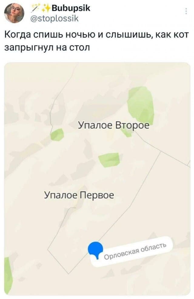 Когда спишь ночью и слышишь, как кот запрыгнул на стол:
*Упалое Второе*
*Упалое Первое*