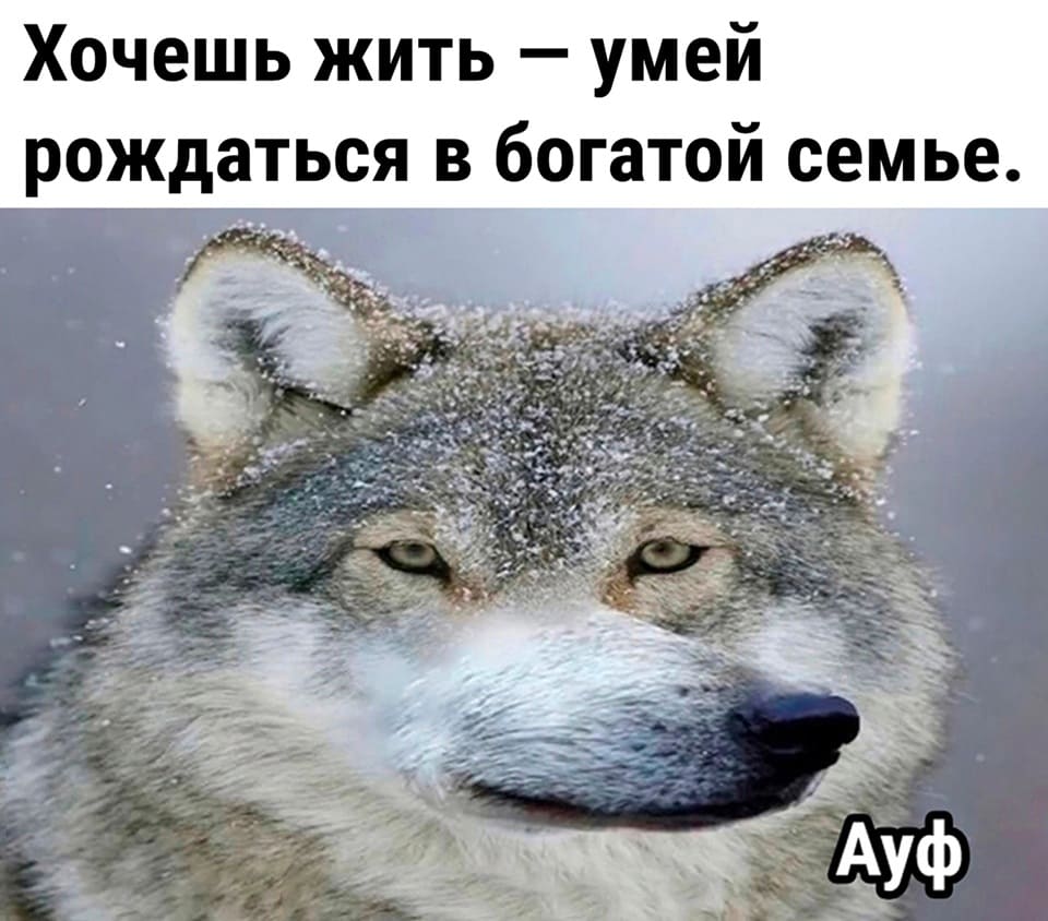 Хочешь жить — умей рождаться в богатой семье.