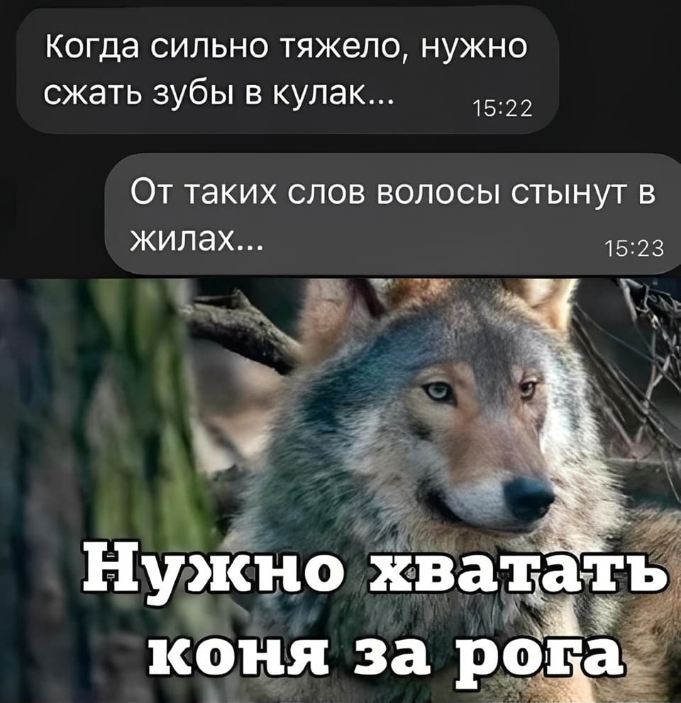 – Когда сильно тяжело, нужно сжать зубы в кулак...
– От таких слов волосы стынут в жилах...
– Нужно хватать коня за рога.