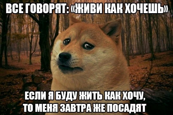 ВСЕ говорят: «ЖИВИ КАК ХОЧЕШЬ!»
ЕСЛИ Я БУДУ ЖИТЬ КАК ХОЧУ, ТО МЕНЯ ЗАВТРА ПОСАДЯТ.