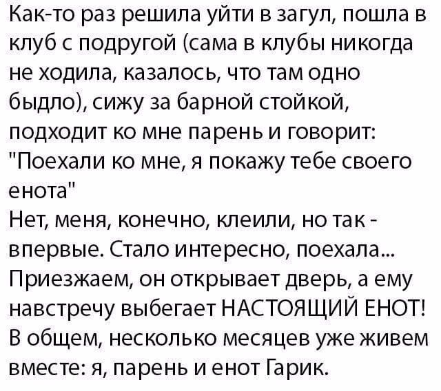 Как-то раз решила уйти в загул, пошла в клуб с подругой (сама в клубы никогда не ходила, казалось, что там одно быдло), сижу за барной стойкой, подходит ко мне парень и говорит: «Поехали ко мне, я покажу тебе своего енота». Нет, меня, конечно, клеили, но так — впервые. Стало интересно, поехала... Приезжаем, он открывает дверь, а ему навстречу выбегает НАСТОЯЩИЙ ЕНОТ! В общем, несколько месяцев уже живем вместе: я, парень и енот Гарик.
