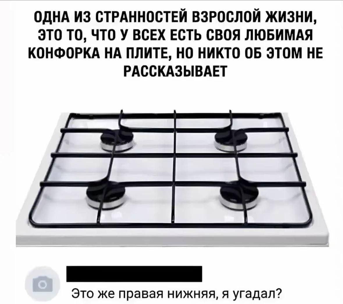 *ОДНА ИЗ СТРАННОСТЕЙ ВЗРОСЛОЙ ЖИЗНИ, ЭТО ТО, ЧТО У ВСЕХ ЕСТЬ СВОЯ ЛЮБИМАЯ КОНФОРКА НА ПЛИТЕ, НО НИКТО ОБ ЭТОМ НЕ РАССКАЗЫВАЕТ*
– Это же правая нижняя, я угадал?