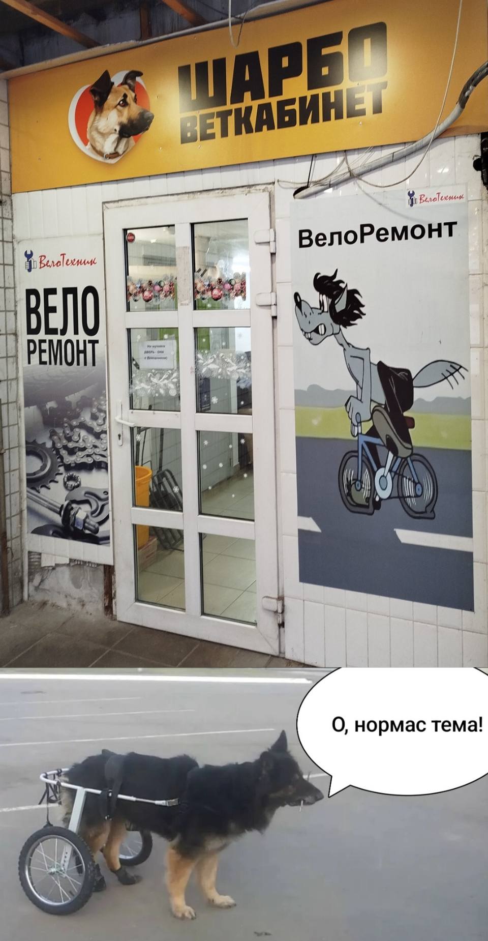 *ВелоРемонт*
