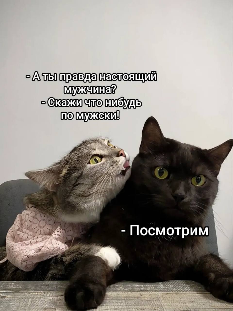 – А ты правда настоящий мужчина?
– Правда.
– Скажи что-нибудь по-мужски!
– Посмотрим.