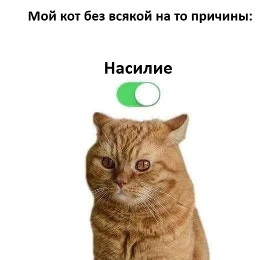 Мой кот без всякой на то причины: *Насилие*