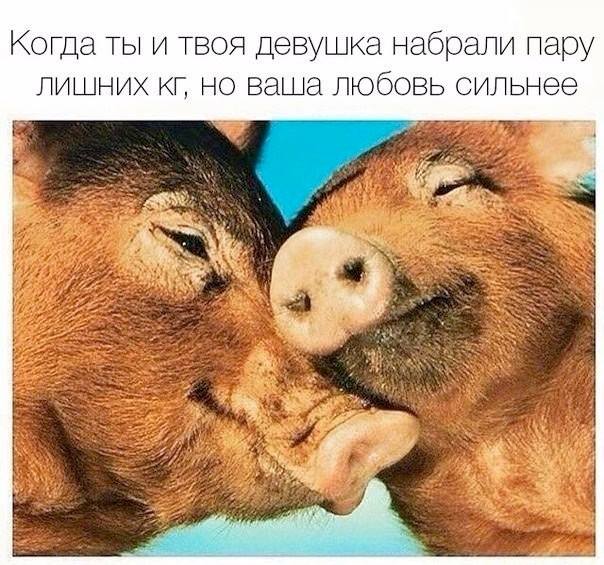Когда ты и твоя девушка набрали пару лишних кг, но ваша любовь сильнее.