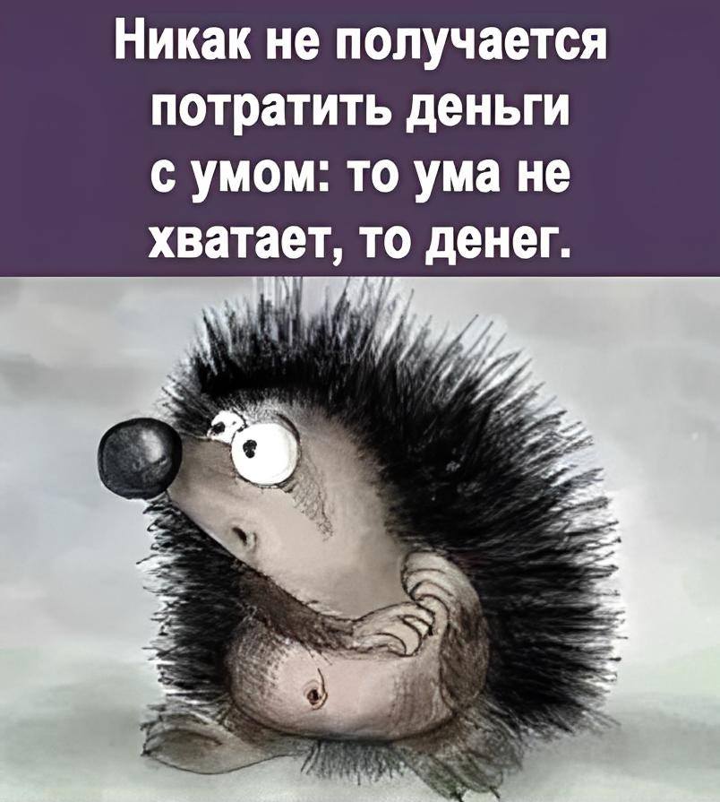 Никак не получается потратить деньги с умом: то ума не хватает, то денег.