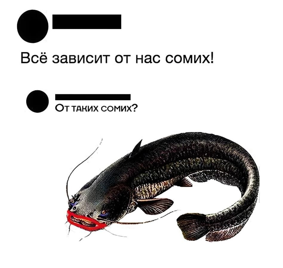 – Всё зависит от нас сомих!
– От ТАКИХ СОМИХ?