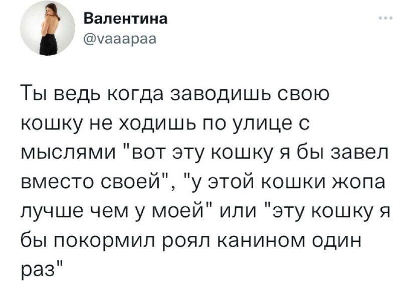 Ты ведь когда заводишь свою кошку не ходишь по улице с мыслями «вот эту кошку я бы завёл вместо своей», «у этой кошки жопа лучше чем у моей» или «эту кошку я бы покормил роял канином один раз».